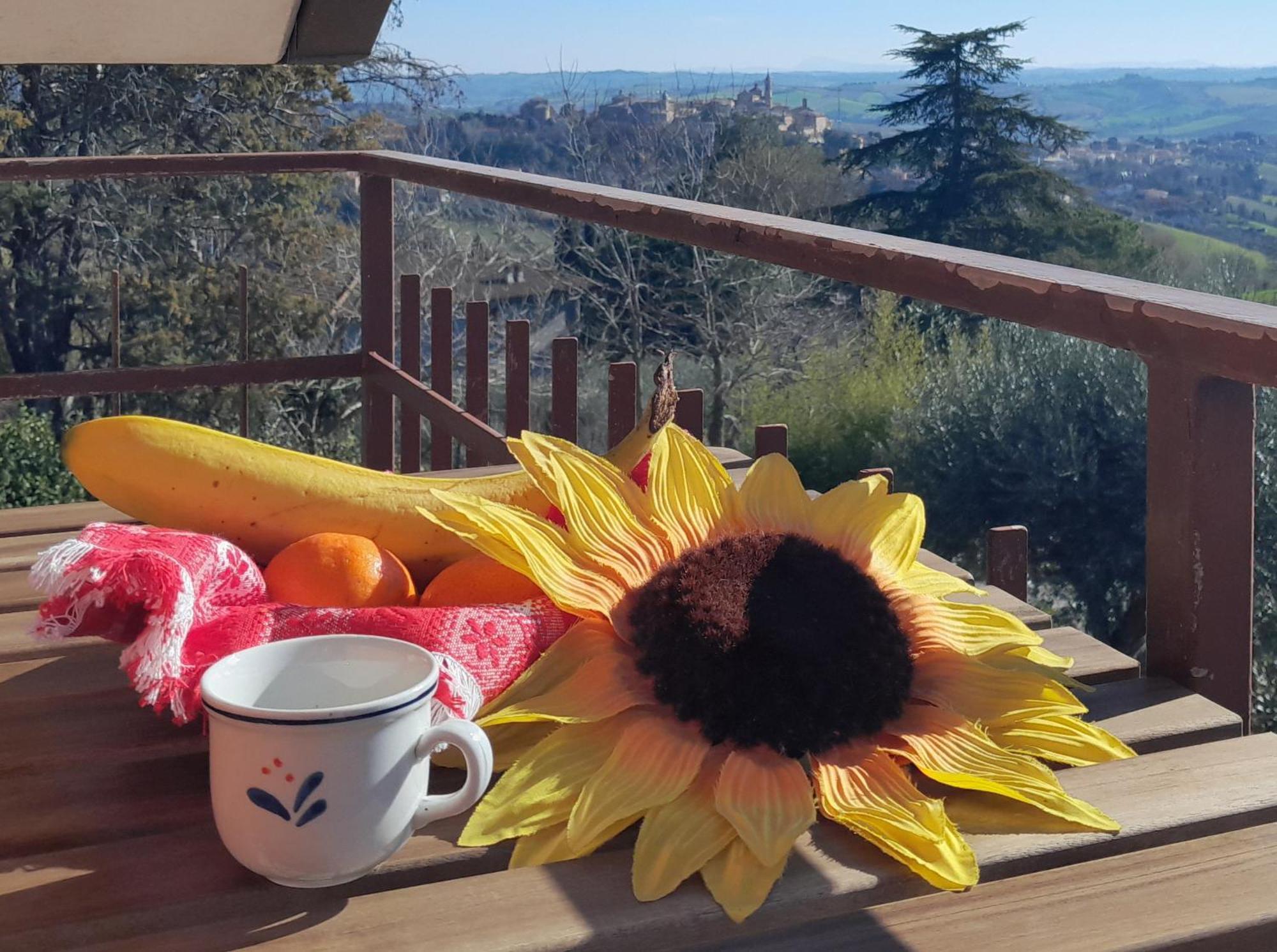 Le Rondini Daire Corinaldo Dış mekan fotoğraf